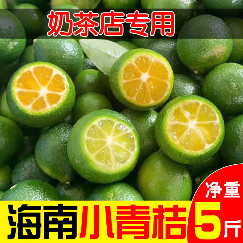 新鲜海南青金桔一级果奶茶店专用