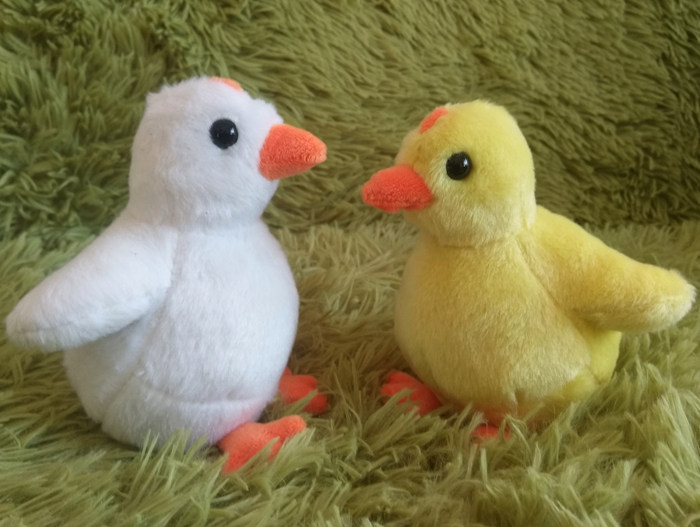 仿真小鸡宝宝毛绒玩具可爱小黄鸭白色小鸡小鸭宝宝公仔早教玩具