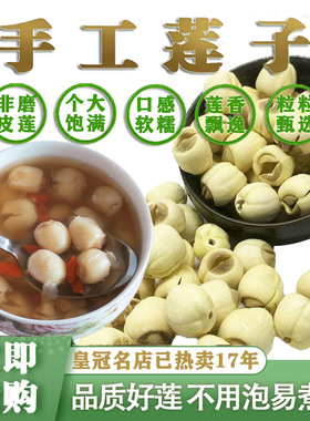 出口级福建宁建莲莲子大粒1.3cm手工去心通芯白莲干货无硫莲米
