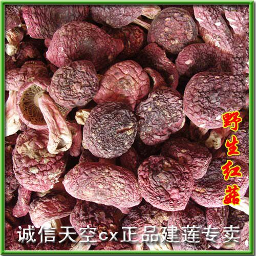 野外生正红菇A级食用蘑菇100g福建武夷山邵武特产干货包邮