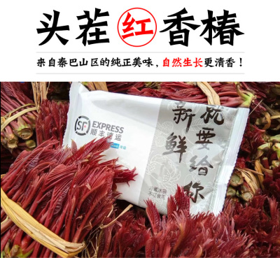 露天头茬红香椿现摘现发