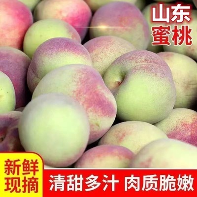 沂蒙山脆甜蜜桃山东毛桃