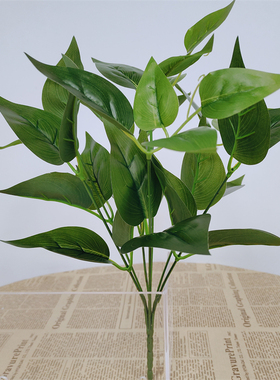 仿真假绿植植物波斯草装饰背景墙插花摆设绿叶子万年青塑料假花艺
