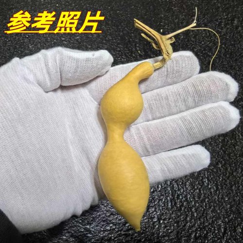 精品天然葫芦蚂蚁肚摆件野生手把文玩小把件镇宅装饰挂件招财葫芦