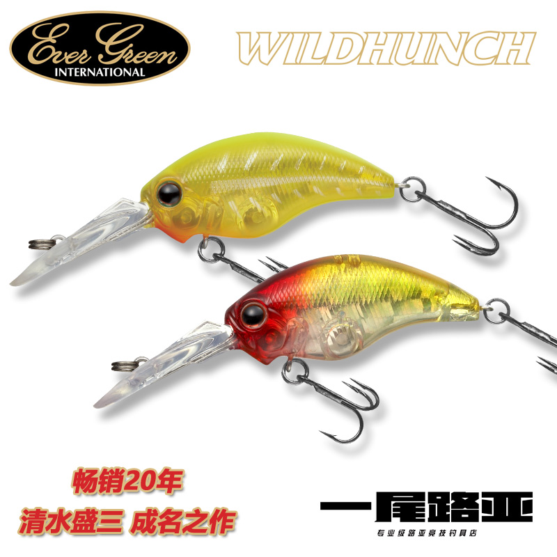 清水盛三自信成名作wildhunch