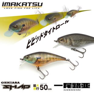 日本IMAKATSU今江克隆GEKIASA SHAD超浅层鲱鱼摇滚胖子路亚硬饵