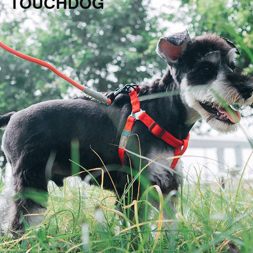 狗狗牵引绳狗链狗狗拉胸背小中大型犬遛狗绳宠物用品