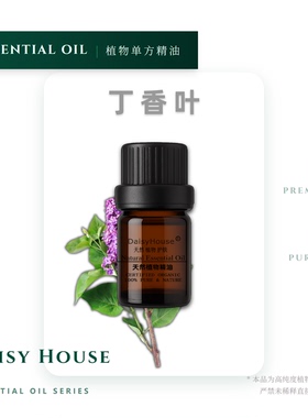 daisy house丁香精油CLOVE OIL激励振奋心情丁香叶芳疗级天然10ML
