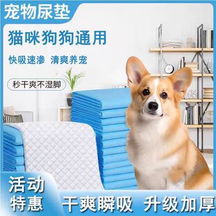 宠物尿垫加大加厚除臭猫狗通用尿垫宠物尿片一次性吸水垫尿不湿