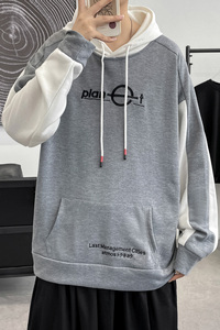 港风春秋冬季卫衣男连帽韩版刺绣宽松大码套头衫QT4066-WY056-P58图片