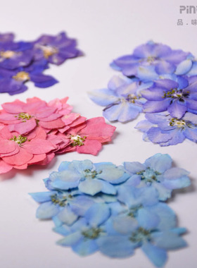 干花压花请柬火漆diy书签