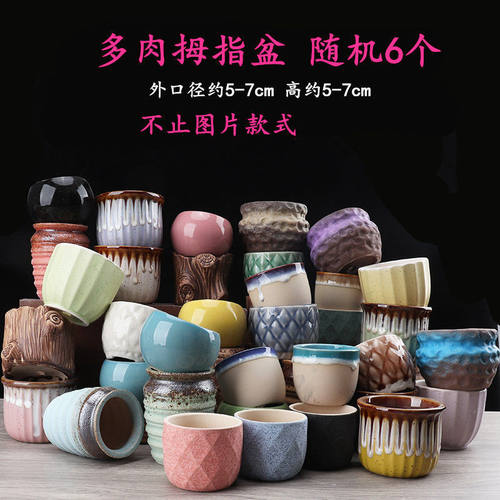 多肉创意花盆陶瓷小花盆透气