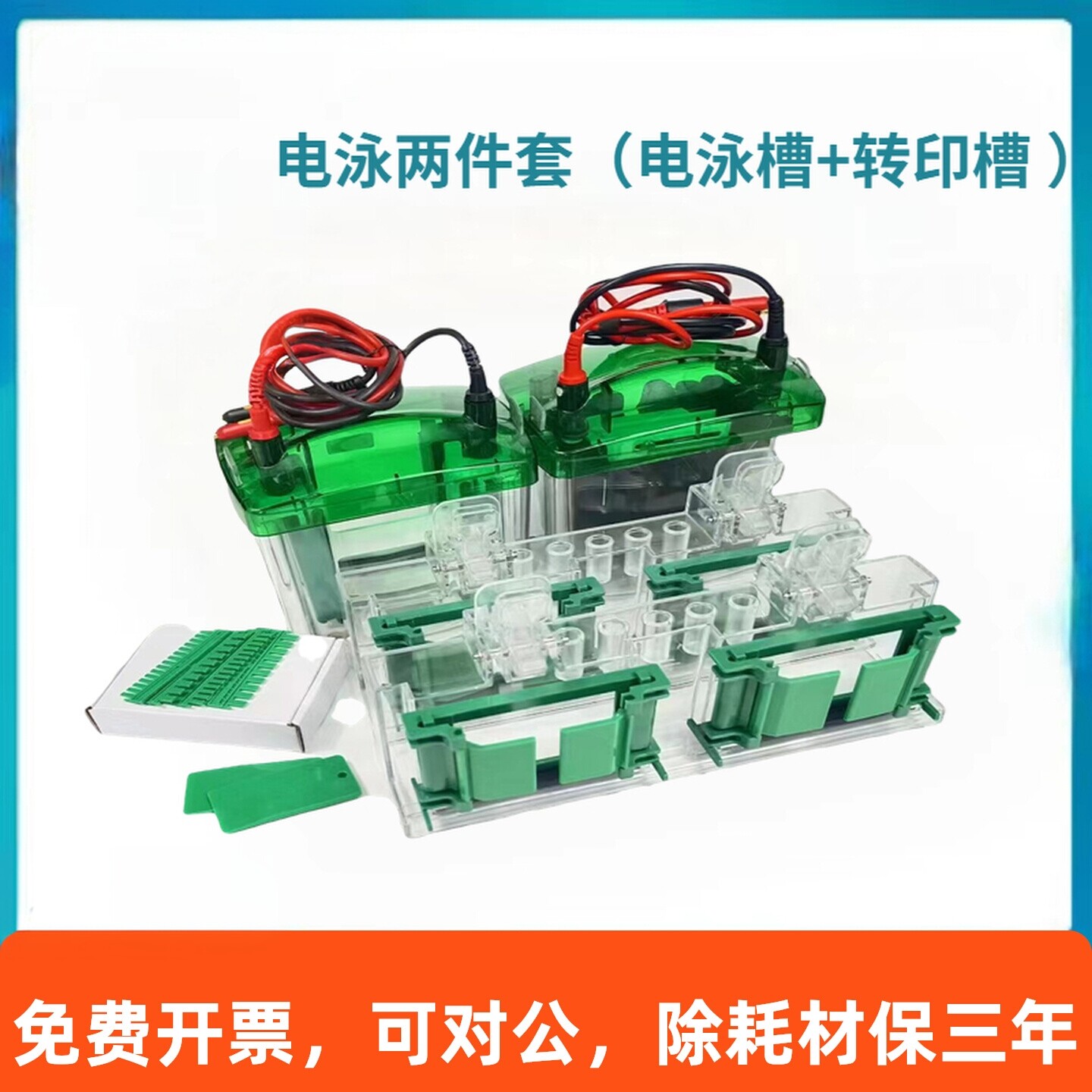 小型垂直蛋白电泳槽sds-page通用Bio-Rad/伯乐Mini-ProteanTetra