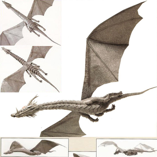 动漫地海战记神龙飞龙3D立体纸模型DIY手工制作儿童折纸益智玩具