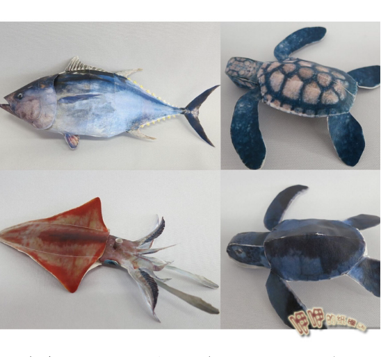 海洋生物 海龟 鱼 乌贼立体3d纸模型diy手工制作儿童益智折纸玩具