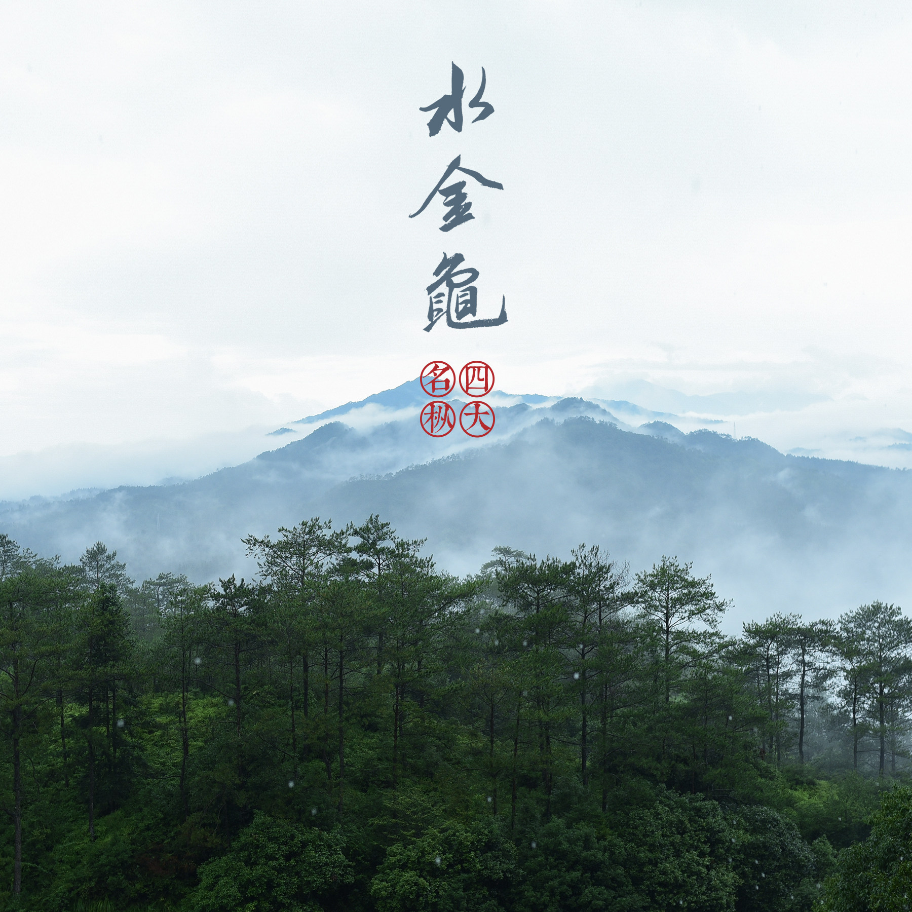 正岩水金龟 四大名枞 武夷岩茶 武焙茗茶 72克