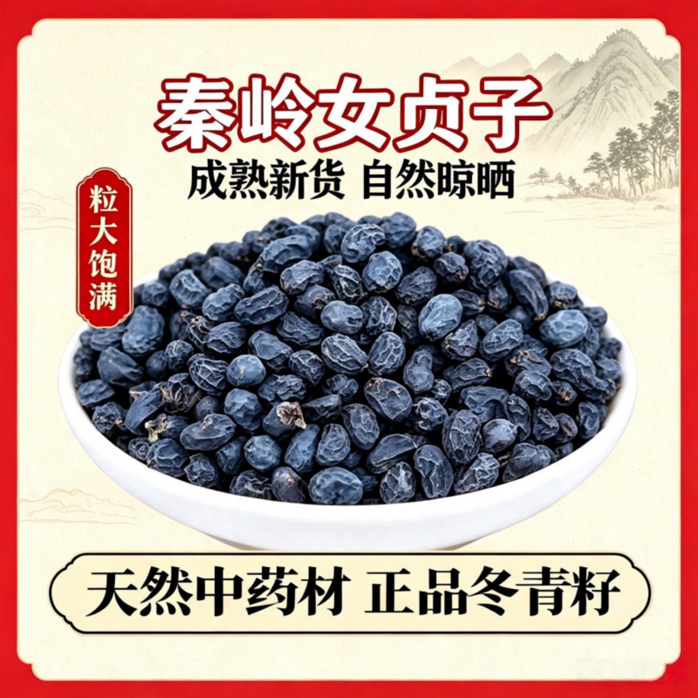 秦岭野生女贞子天然中药材正品冬青籽泡水泡酒冬至旱莲草批发正宗