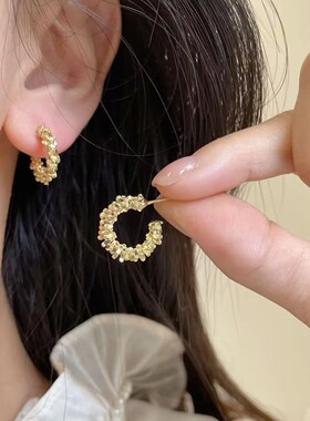 气质碎银子耳环女款2024新款爆款耳钉轻奢高级感小众设计耳圈耳饰