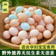 新鲜自养农家散养柴鸡蛋无激素笨鸡蛋孕妇宝宝土鸡蛋月子蛋谷物蛋