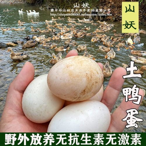 溪水放养土鸭蛋农家绿色新鲜鸭蛋五谷杂粮喂养生鸭蛋生态散养