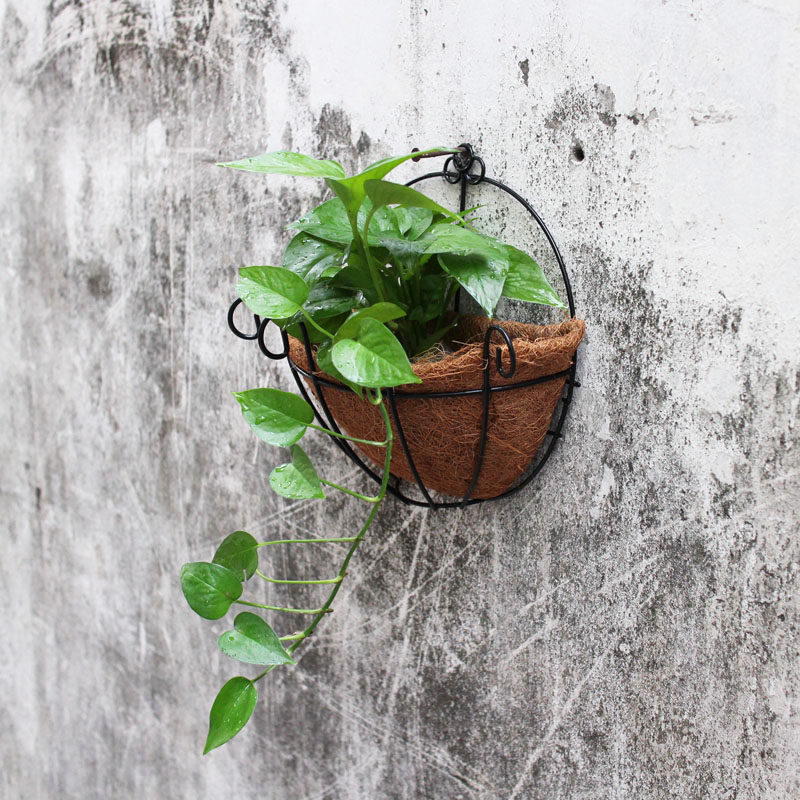 椰棕壁挂花盆半圆形透气挂墙椰壳铁艺花架绿萝垂吊植物壁挂篮百搭