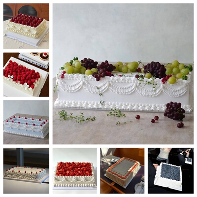 2026新款方形10大型水果蛋糕模型