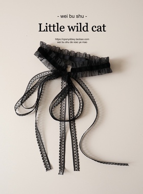 蕾丝系带颈环 脖子饰品甜酷choker丝绒脖环锁骨链新款性感项圈女