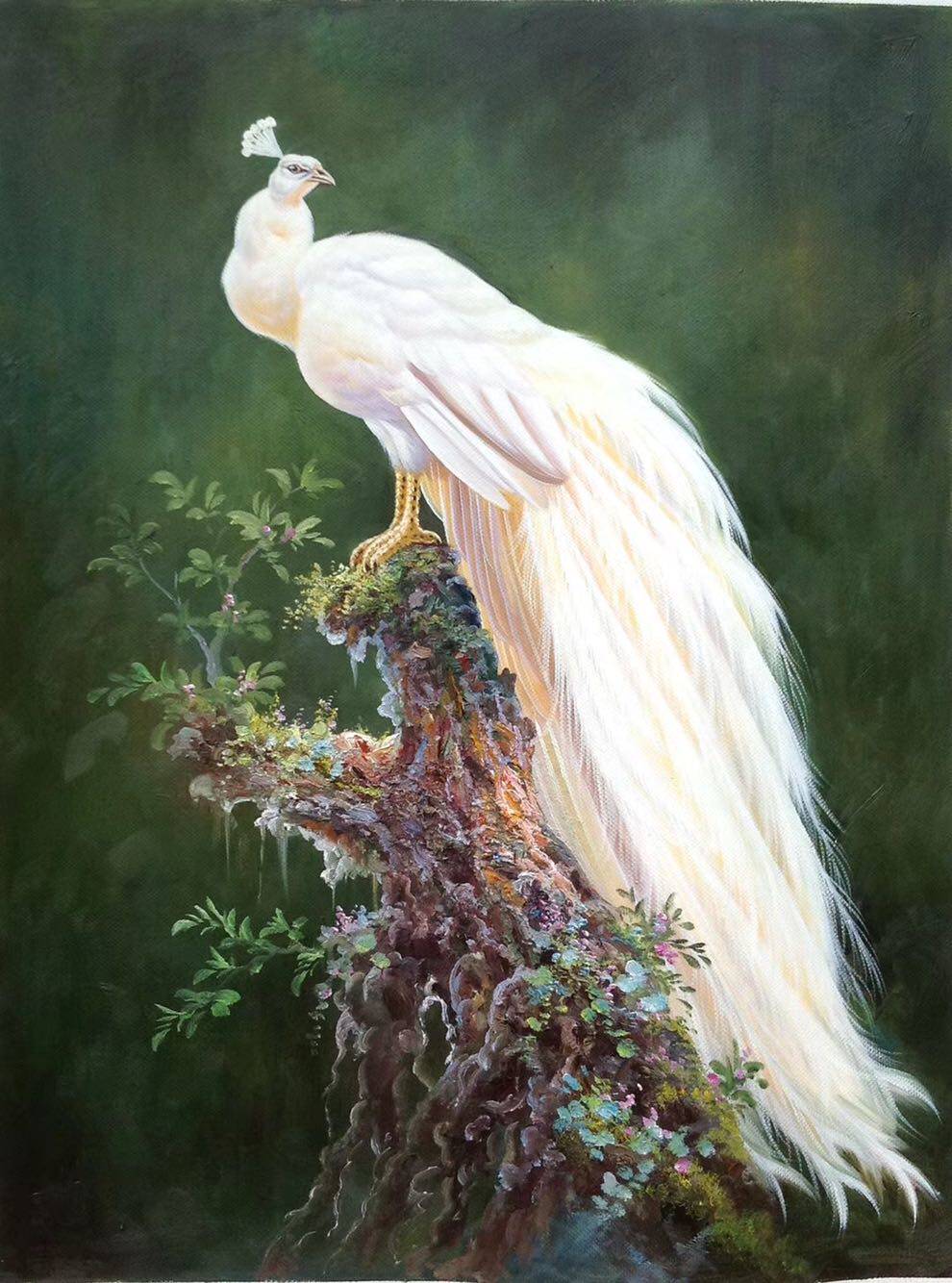 纯手绘精致仙气白孔雀唯美动物客厅酒店玄关装饰油画75-100可定制