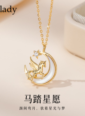 【新品】吊坠银项链女款2025新款高级感轻奢小众银饰品锁骨链秋冬