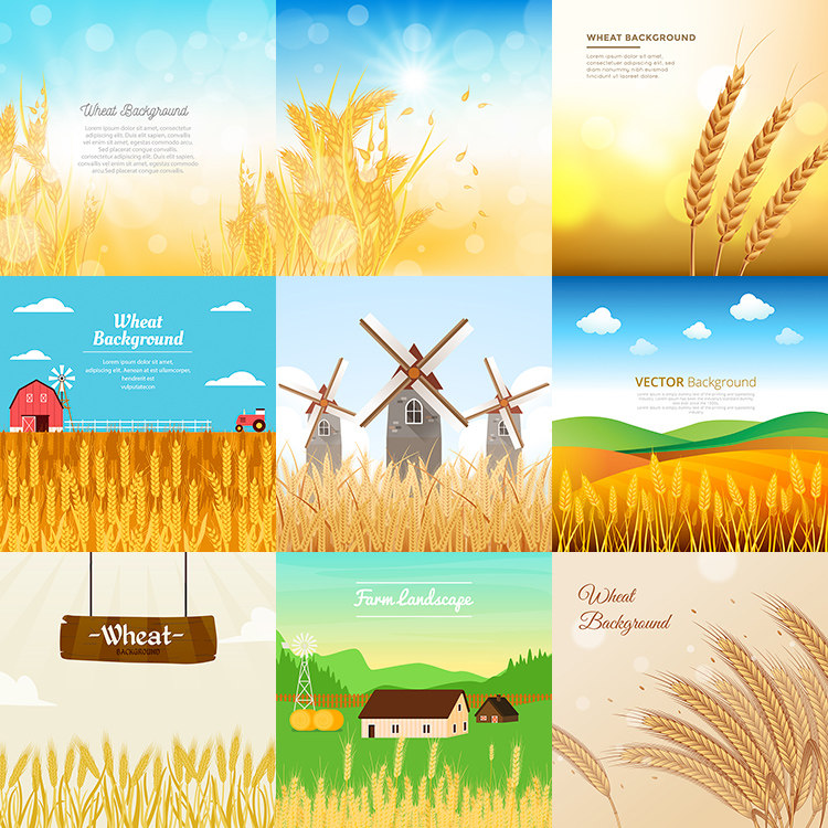 麦田插画 扁平化卡通金色麦穗小麦秋天景色 ai格式矢量设计素材