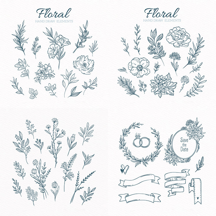 手绘植物 清新线描叶子绿植装饰纹样 ai格式矢量设计素材