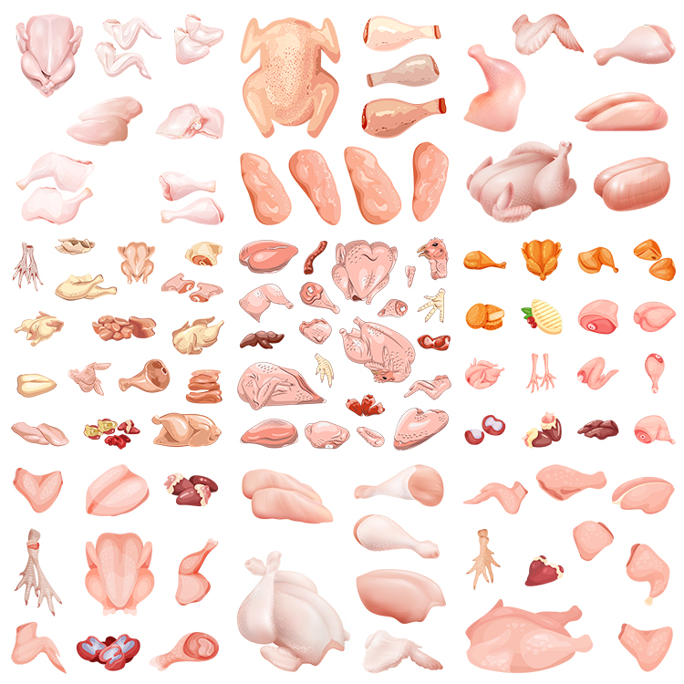 鸡肉插画 扁平化卡通鸡腿鸡爪鸡肾鸡胸肉 AI格式矢量素设计素材