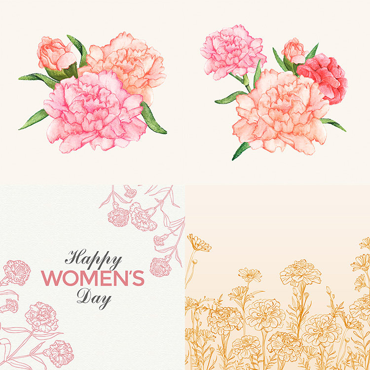 康乃馨插画ai矢量素材 手绘彩绘香石竹花卉花朵海报背景 设计素材
