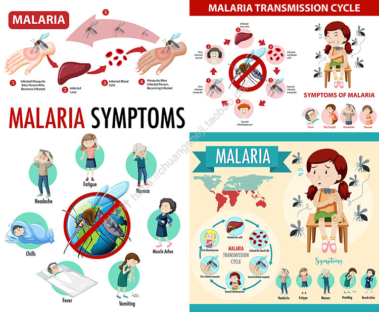 疟疾信息图表 扁平化卡通蚊子叮咬传染病插画 AI格式矢量设计素材
