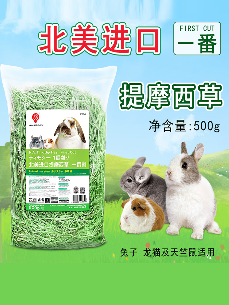 提摩西草兔饲料荷兰猪