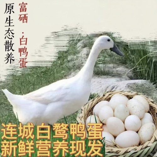 正宗连城白鸭蛋富硒新鲜山林散养土鸭蛋白鹜鸭蛋当天现捡现发包邮