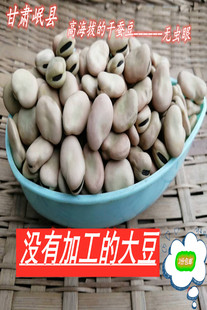 生蚕豆无虫新货500克袋装罗汉豆农家自产大豆发芽蚕豆种子甘肃产
