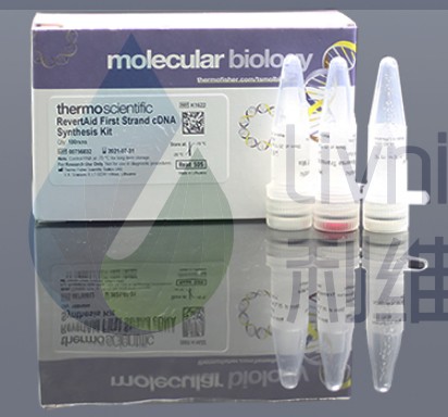 Fermentas K1622 RT逆转录试剂盒