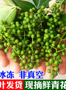 四川青花椒新鲜带叶非冰冻藤椒麻