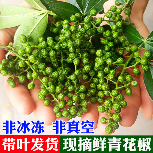 四川青花椒新鲜带叶非冰冻藤椒麻