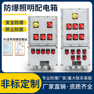 防爆控制箱电源检修插座箱定制防爆照明动力配电箱不锈钢接线箱