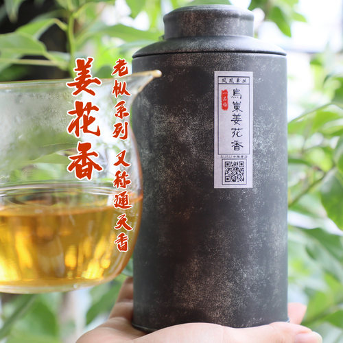 susu茶叶宋种通天香姜花香清香型