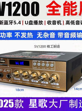 全新升级大功率迷你型蓝牙功放无损12V插卡U盘收音功放机车载家用