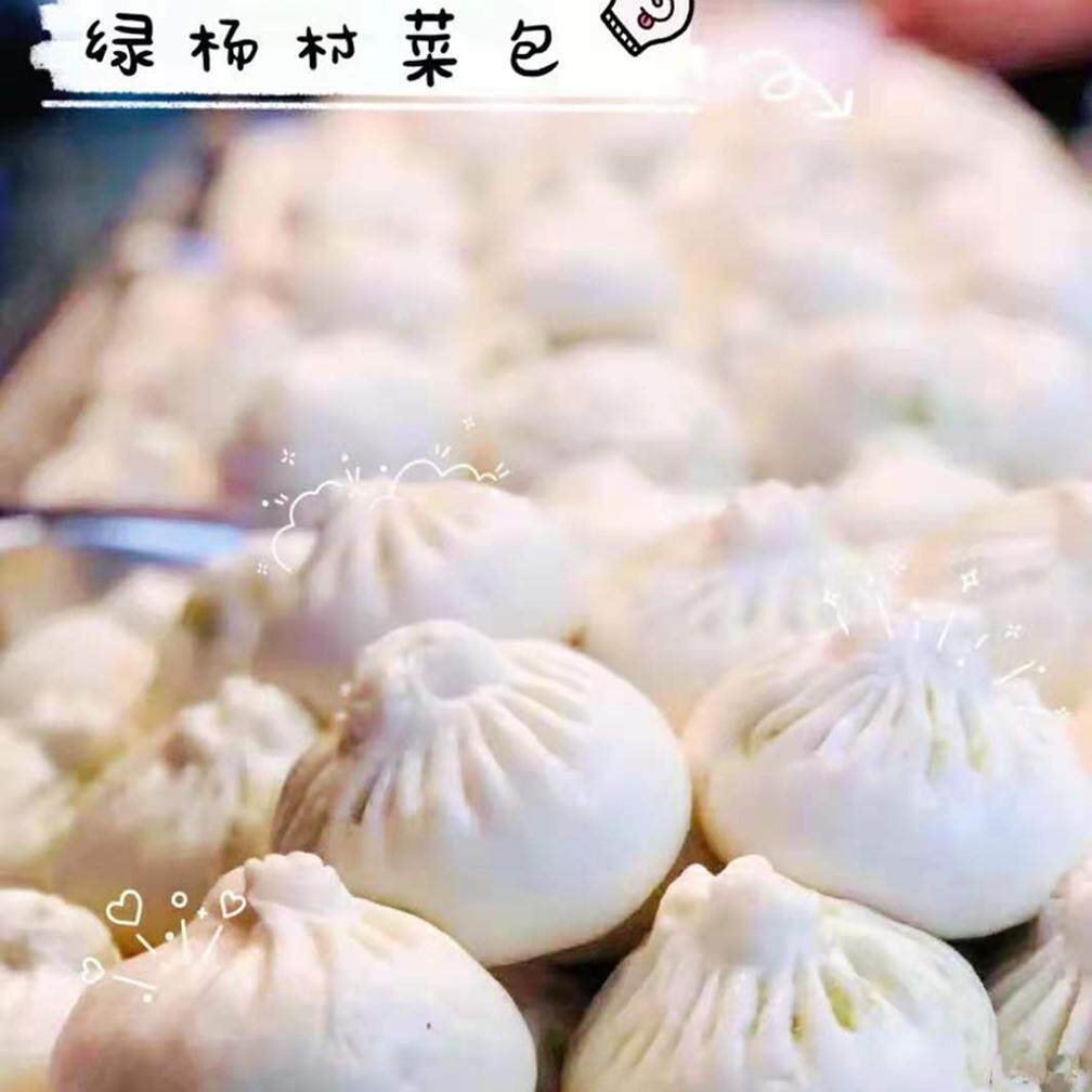 上海绿杨邨酒家 金牌素菜包5个装 现买现发 菜包肉包三丁包豆沙包