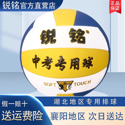 【官方正品】排球中考训练比赛体育考试小学初中5号标准用球