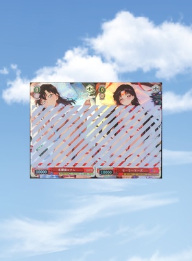 自制WS 美少女战士 名侦探 小兰＆火野丽 2张 折光彩闪59*86mm