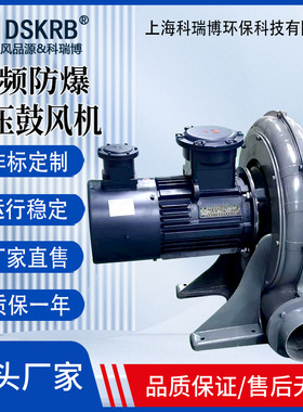 氢气甲烷抽吸隔爆鼓风机厂家BT4 现货CX-12隔热中压风机220V