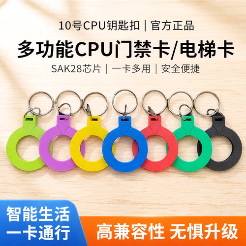10号CPU钥匙扣卡43662