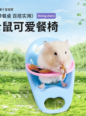 仓鼠小餐桌椅吃饭互动可爱桌子花枝鼠玩具金丝熊摆拍造景用品大全