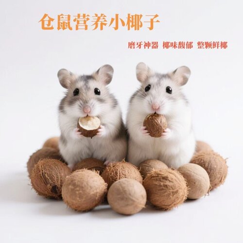 仓鼠椰丝迷你小椰子磨牙解闷零食